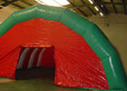 Carpa