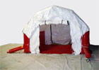 Carpa