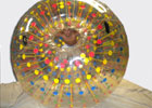 Bola