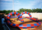 Pista