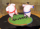 Sumo